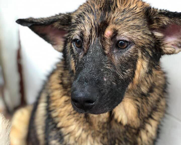 _ChuaCode3282_landscape