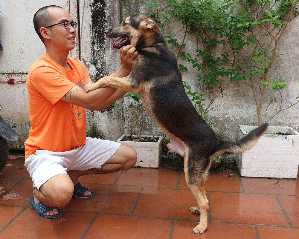 Miu (Kitten)_ShepherdMix3